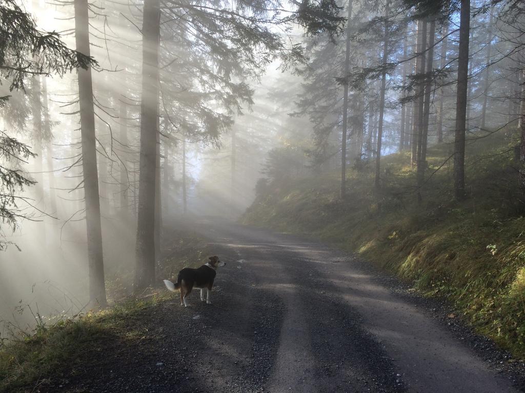 Haus Waldrast Lägenhet Elbigenalp Exteriör bild