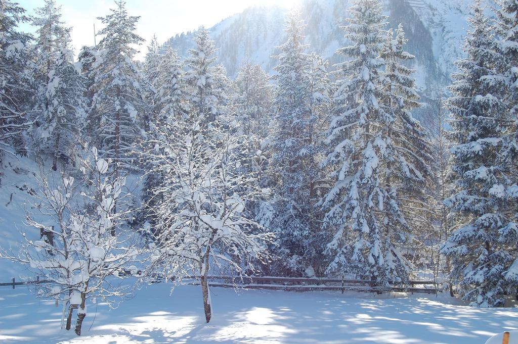 Haus Waldrast Lägenhet Elbigenalp Exteriör bild